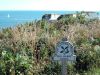 dorset2.jpg